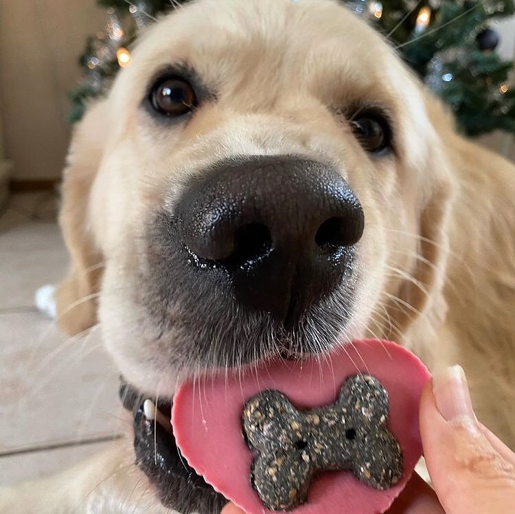Doggy Yoghurt Heart Shaped Drops