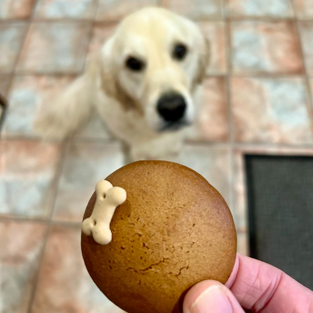 Doggy Cookie