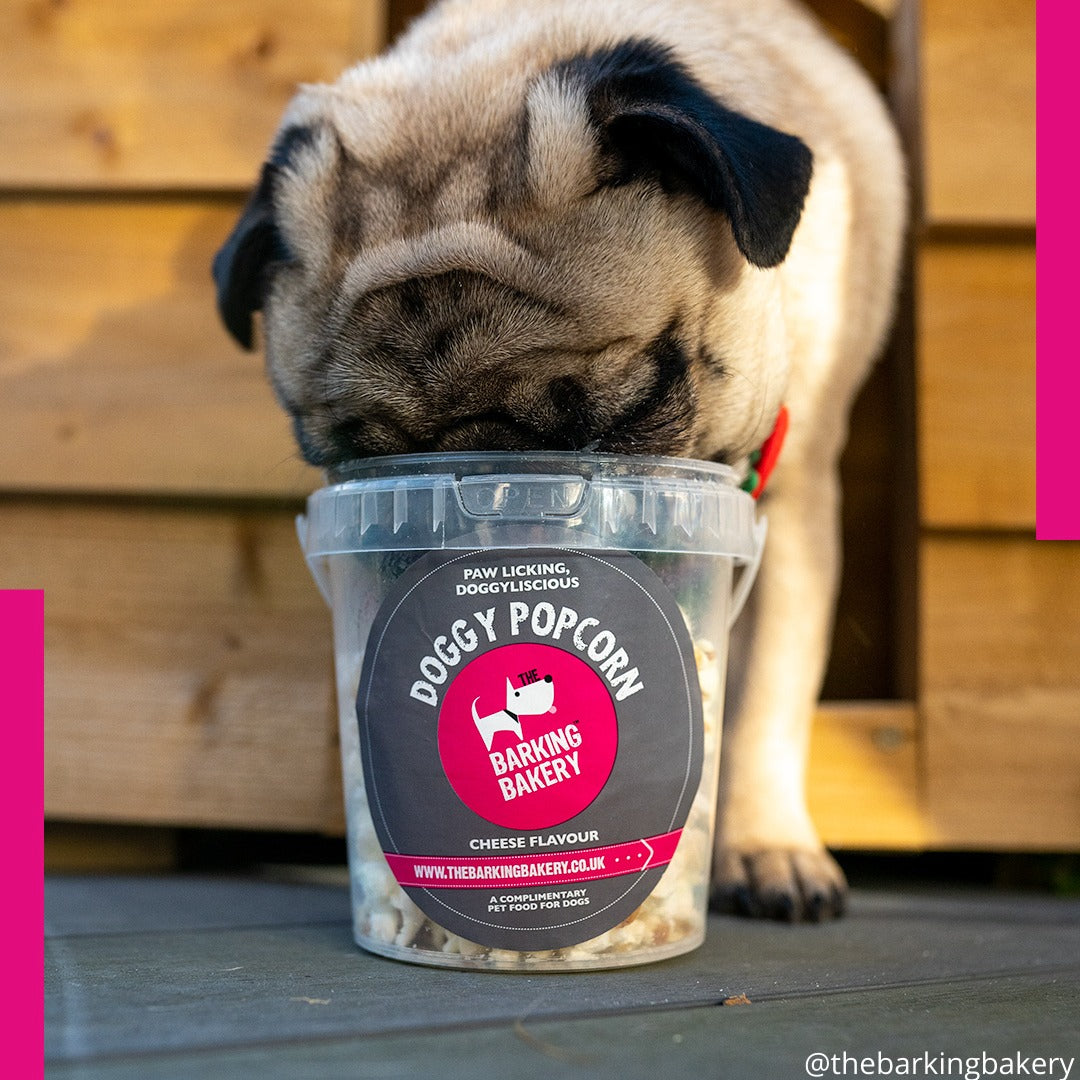 Doggy Cheesy Pupcorn Tub