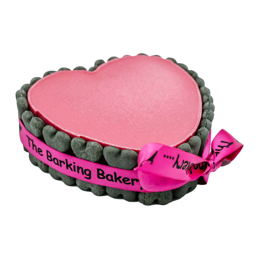 Pink Heart Shaped Pawty Cake with Ribbon & Bones | Cake for Dogs