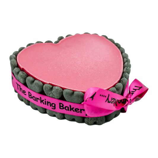 Pink Heart Shaped Pawty Cake with Ribbon & Bones | Cake for Dogs