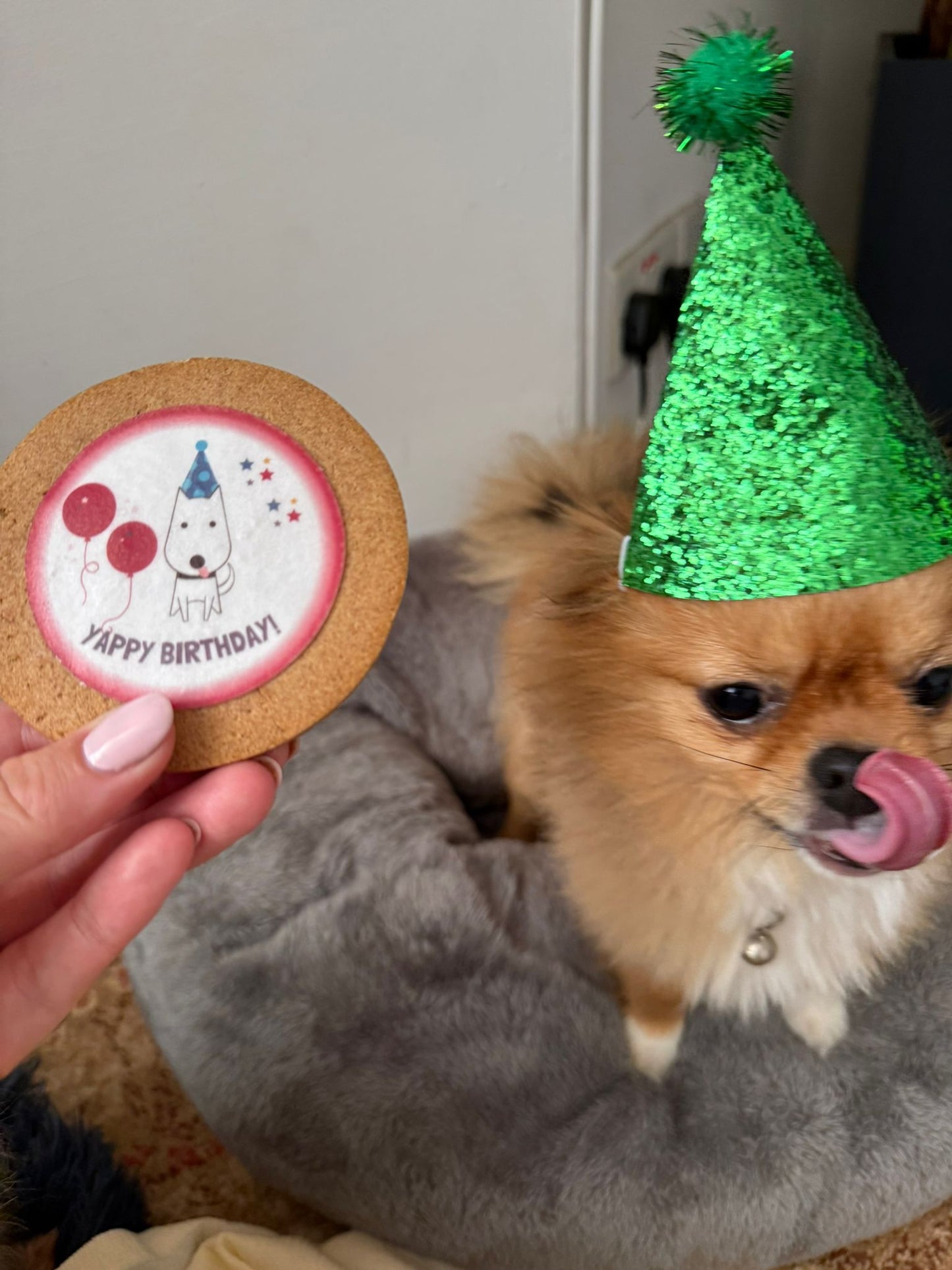 Yappy Birthday Biscuit