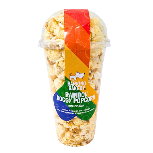 Rainbow Pride Dog Popcorn