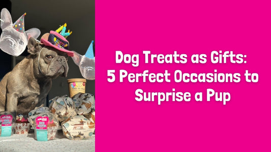 Dog Treats as Gifts: 5 Perfect Occasions to Surprise a Pup