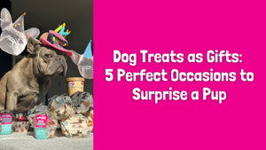 Dog Treats as Gifts: 5 Perfect Occasions to Surprise a Pup