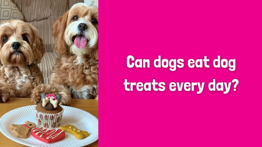Can dogs eat dog treats every day?