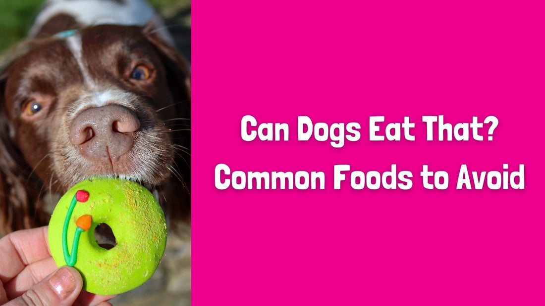 Can Dogs Eat That? Common Foods to Avoid
