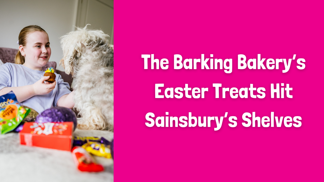 The Barking Bakery’s Easter Treats Hit Sainsbury’s Shelves – With a Golden Surprise! 🐰