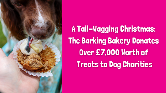 A Tail-Wagging Christmas: The Barking Bakery Donates Over £7,000 Worth of Treats to Dog Charities