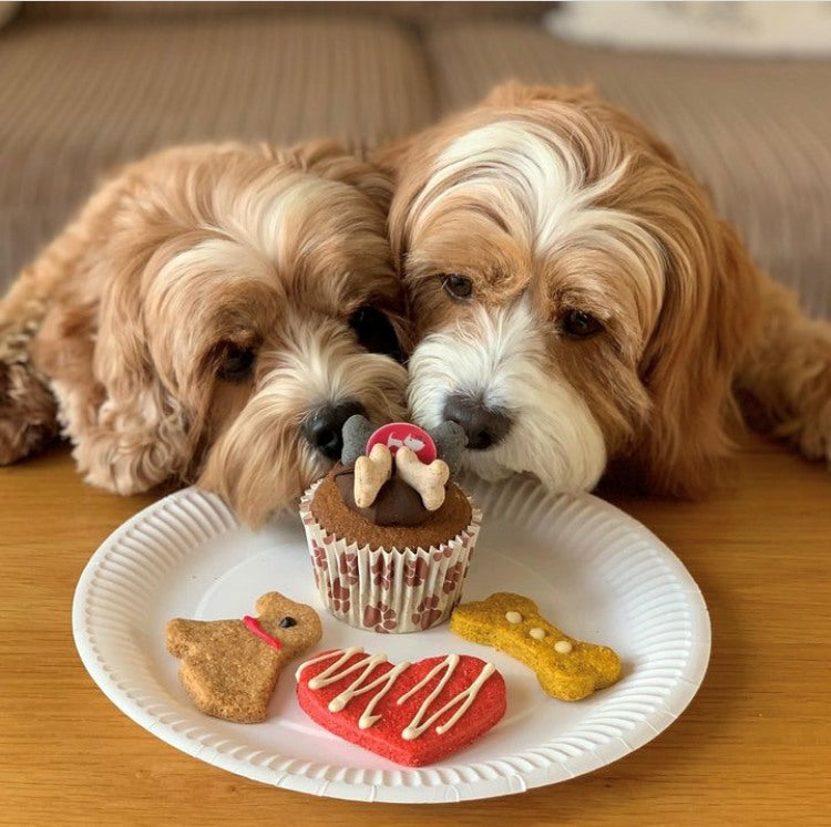 The Original Doggy Woofin