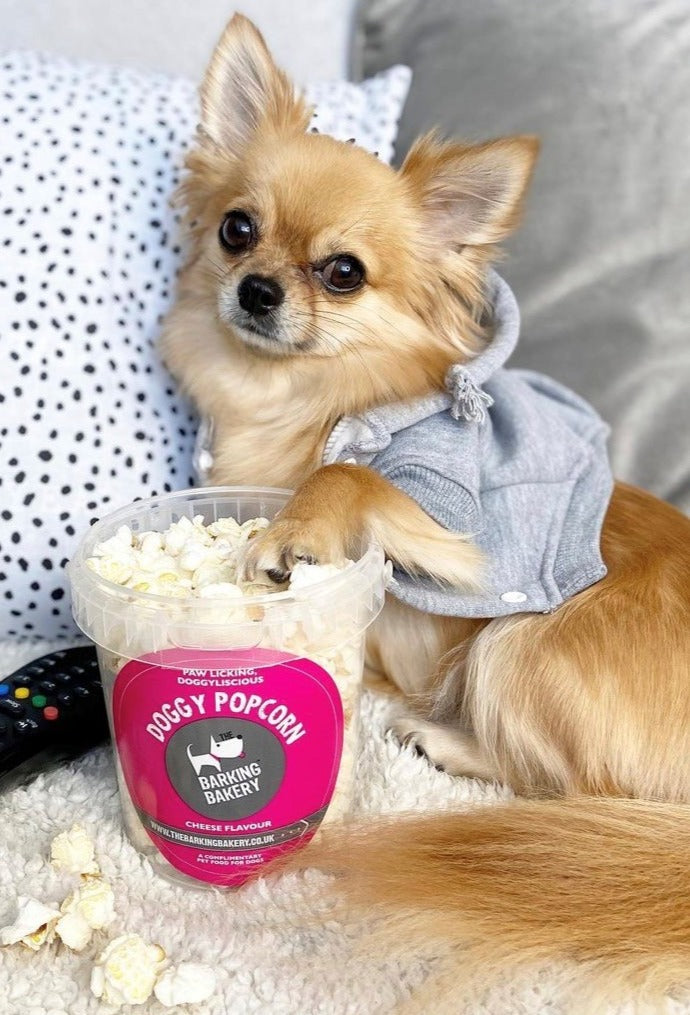 Doggy Popcorn (Pupcorn!)