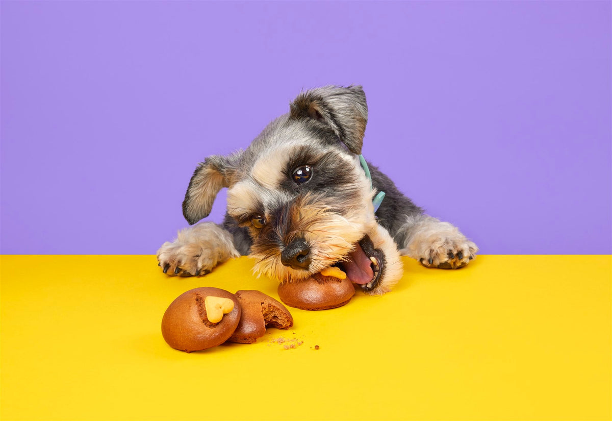Doggy Cookies