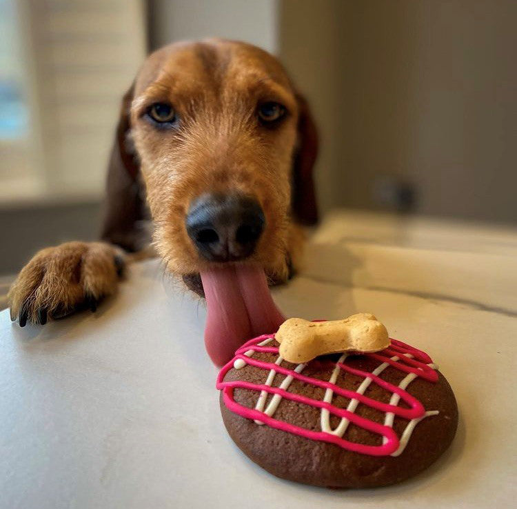 Doggy Cookies