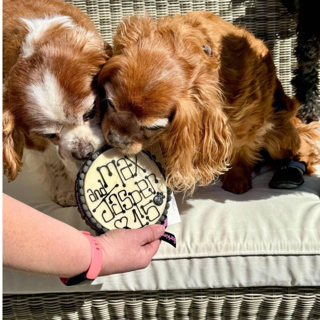 Handwritten Vanilla Yoghurt Topped Pawty Cake (Please allow 5-7 working days delivery)