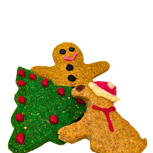 Yappy Woofmas Cheesy Biscuits