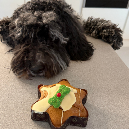 Yappy Woofmas Christmas Star Cake for Dogs