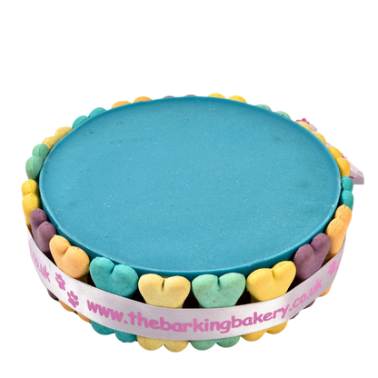 Blue Yoghurt Topped Pawty Cake for Dogs
