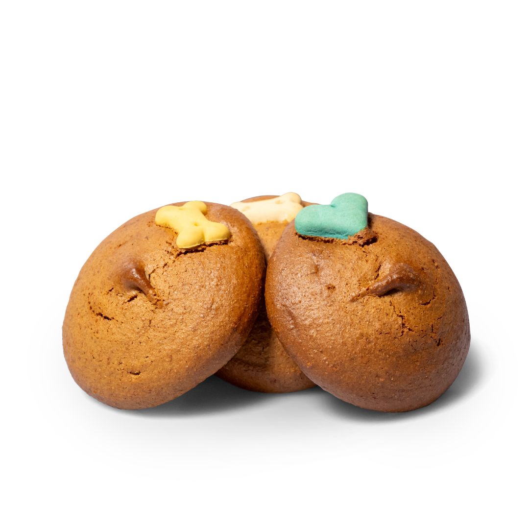Doggy Cookie
