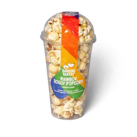Rainbow Pride Dog Popcorn