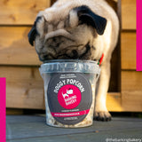 Doggy Cheesy Pupcorn Tub