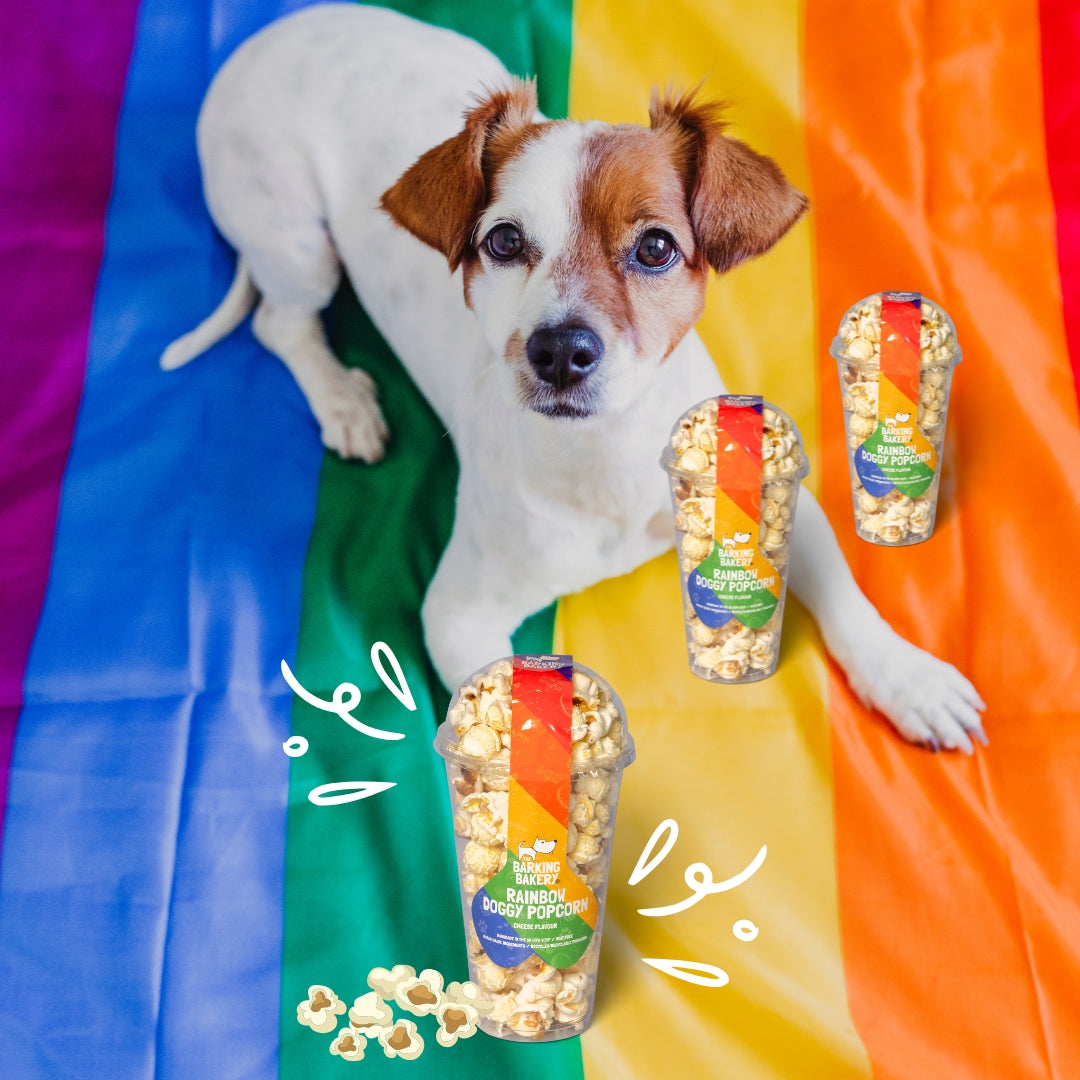 Rainbow Pride Dog Popcorn