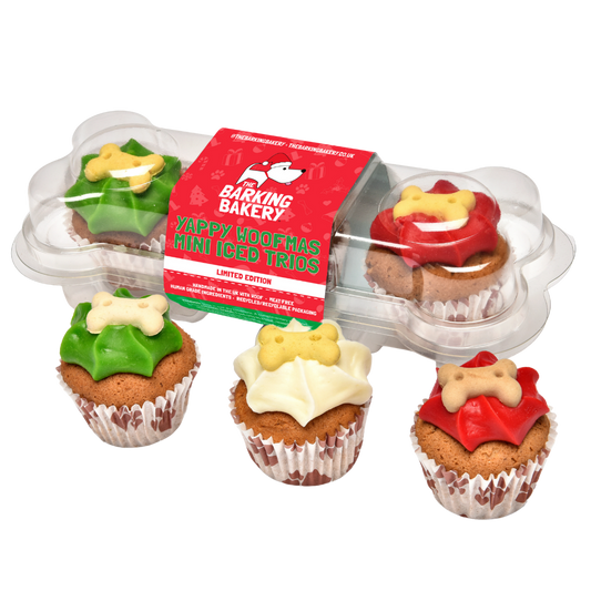 Yappy Woofmas Mini Iced Trios