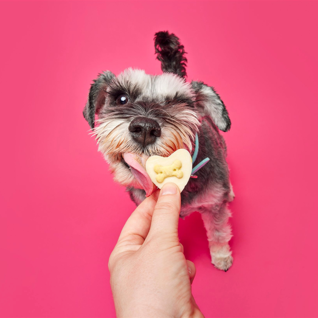 Yappy Woofmas Doggy Yoghurt Heart Shaped Drops