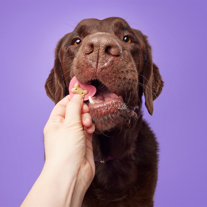 Doggy Yoghurt Heart Shaped Drops