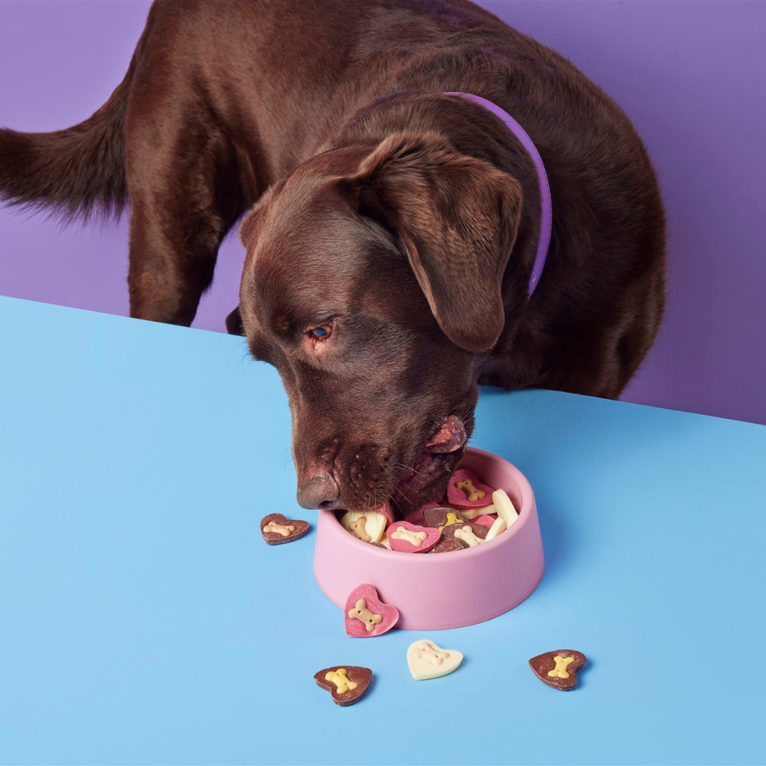 Yappy Woofmas Doggy Yoghurt Heart Shaped Drops