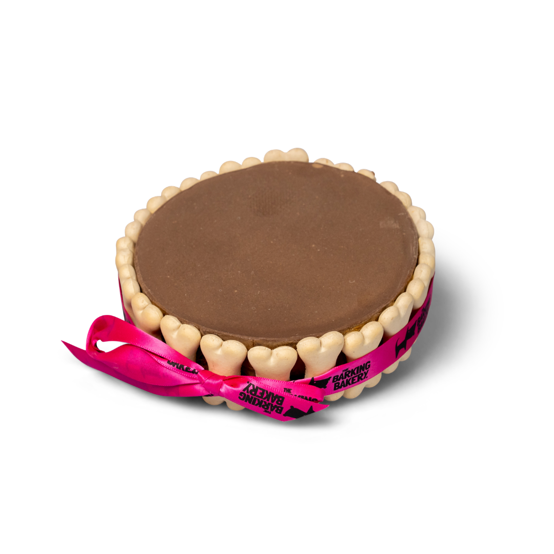 Carob Yoghurt Topped Pawty Cake for Dogs