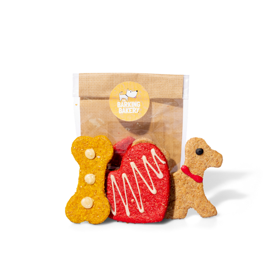 Heart, Dog and Bone Shaped Cheesy Biscuits