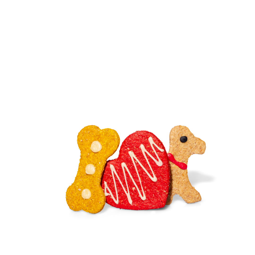 Heart, Dog and Bone Shaped Cheesy Biscuits