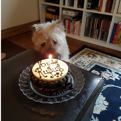 Handwritten Vanilla Yoghurt Topped Pawty Cake (Please allow 5-7 working days delivery)