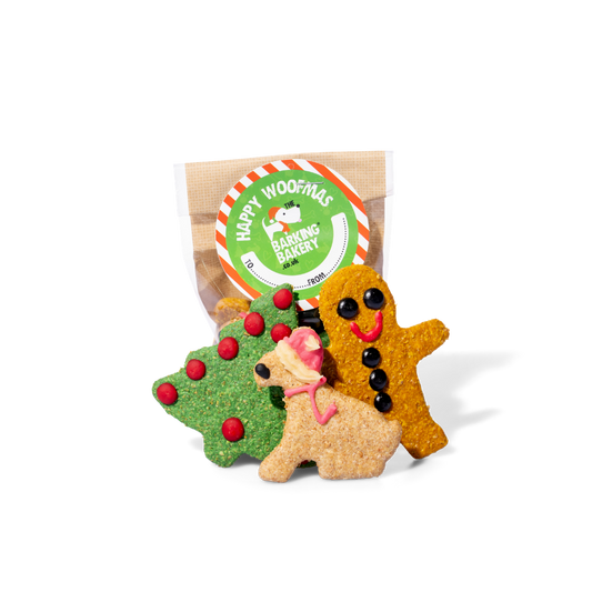 Yappy Woofmas Cheesy Biscuits