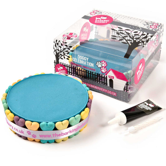 Blue Yoghurt Topped Pawty Cake for Dogs