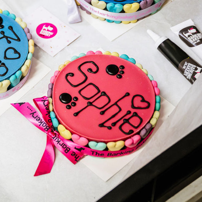 Handwritten Pink Yoghurt Topped Pawty Cake (Please allow 5-7 working days delivery)