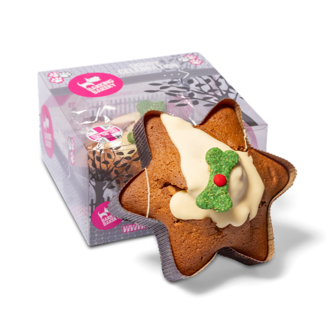 Yappy Woofmas Christmas Star Cake for Dogs