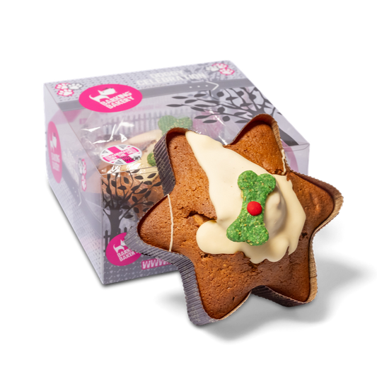 Yappy Woofmas Christmas Star Cake for Dogs
