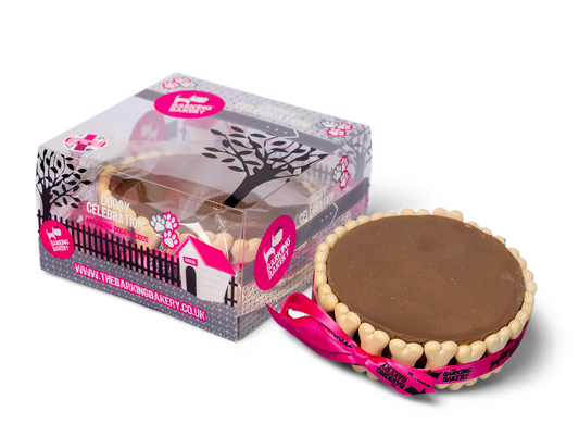 Carob Yoghurt Topped Pawty Cake for Dogs