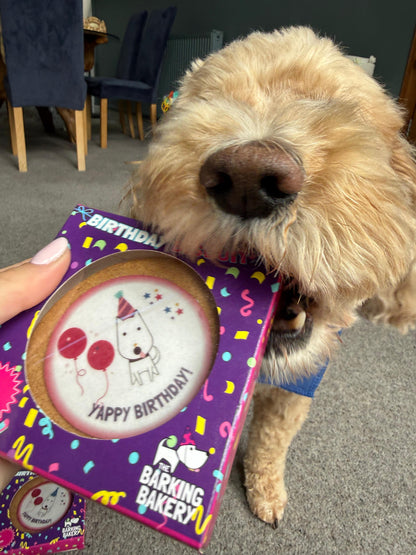 Yappy Birthday Biscuit