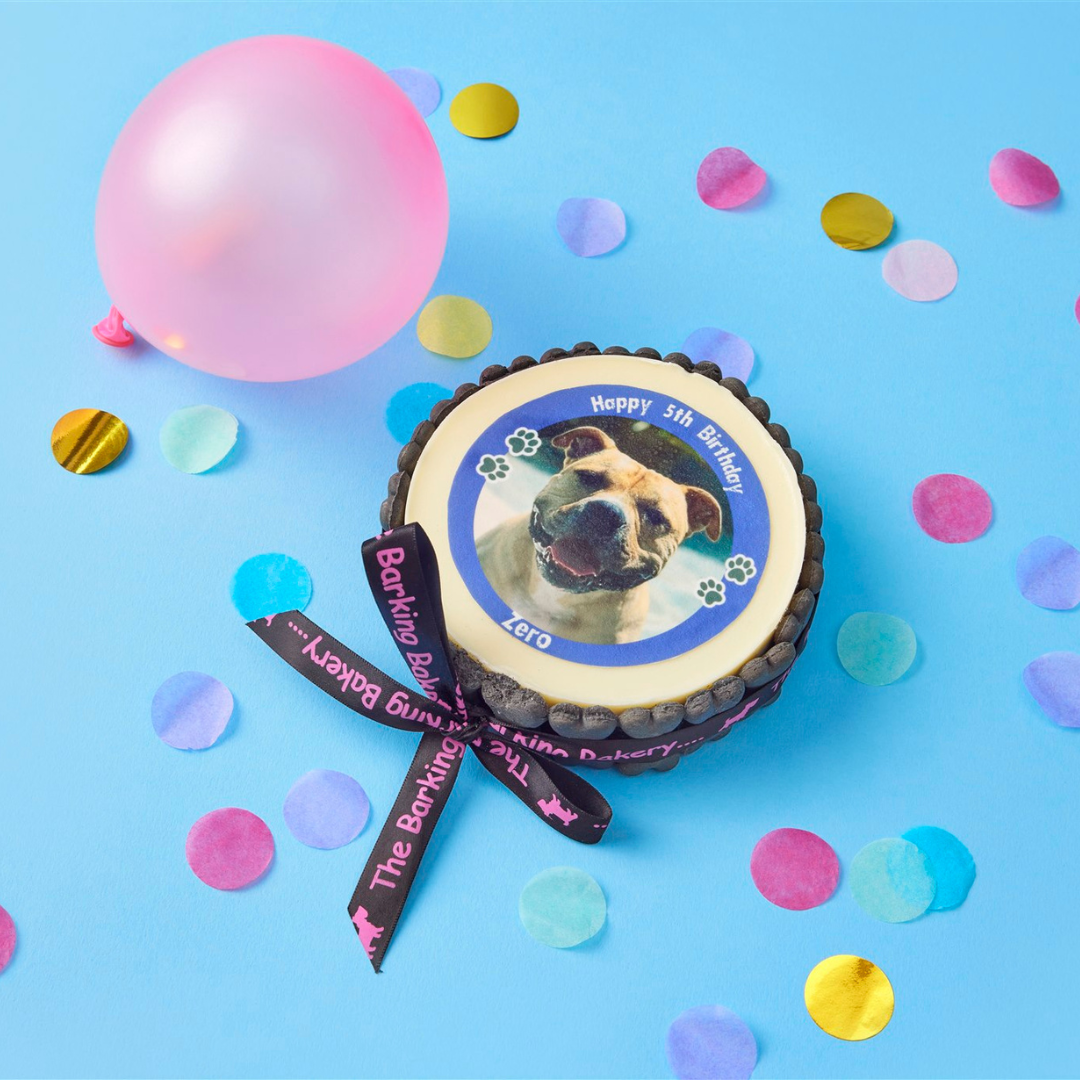 My Pet Picture Cake (Please allow 5-7 working days delivery)