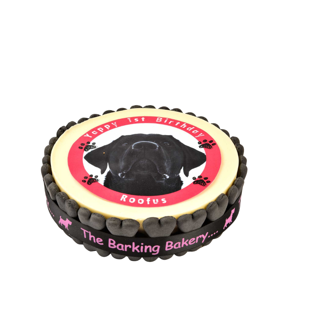 My Pet Picture Cake (Please allow 5-7 working days delivery)