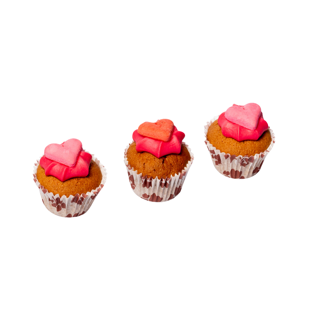I Woof You Valentines Mini Iced Trios
