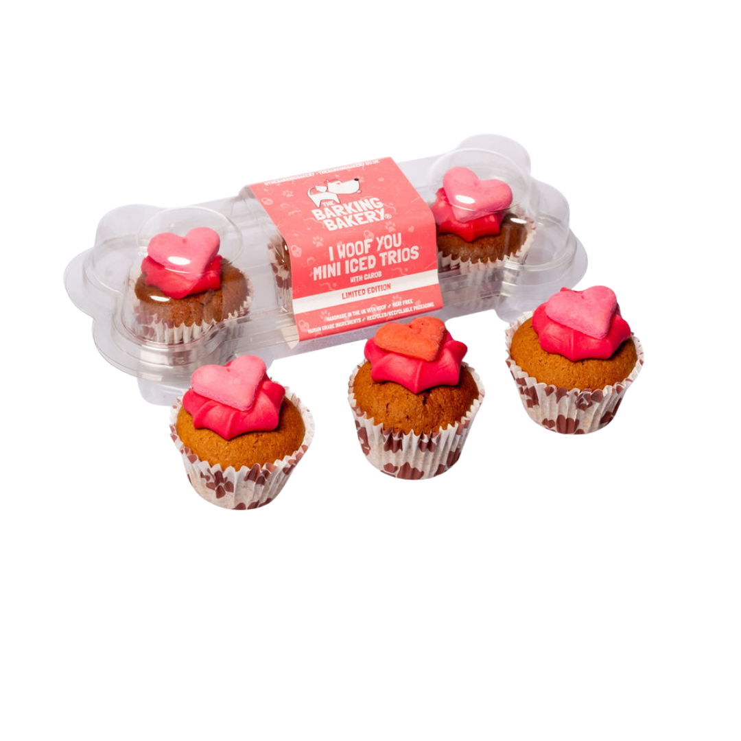 I Woof You Valentines Mini Iced Trios