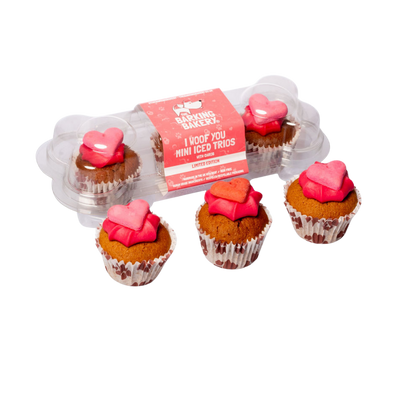 I Woof You Valentines Mini Iced Trios