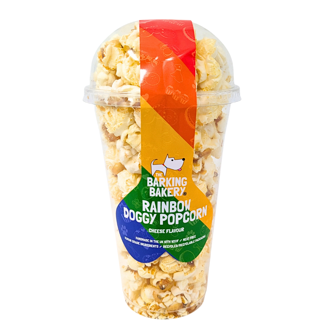 Rainbow Pride Dog Popcorn