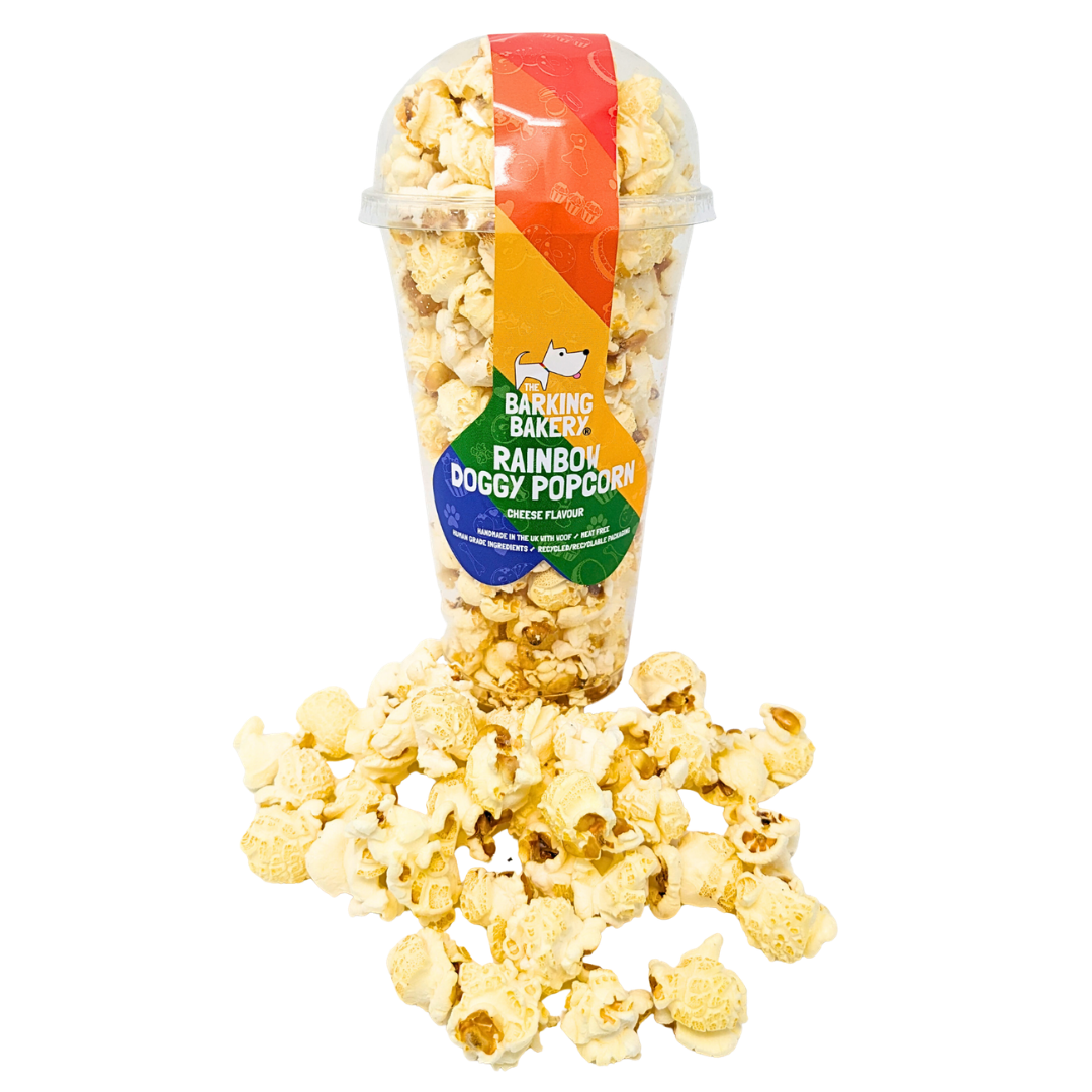 Rainbow Pride Dog Popcorn