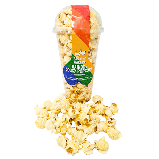 Rainbow Pride Dog Popcorn