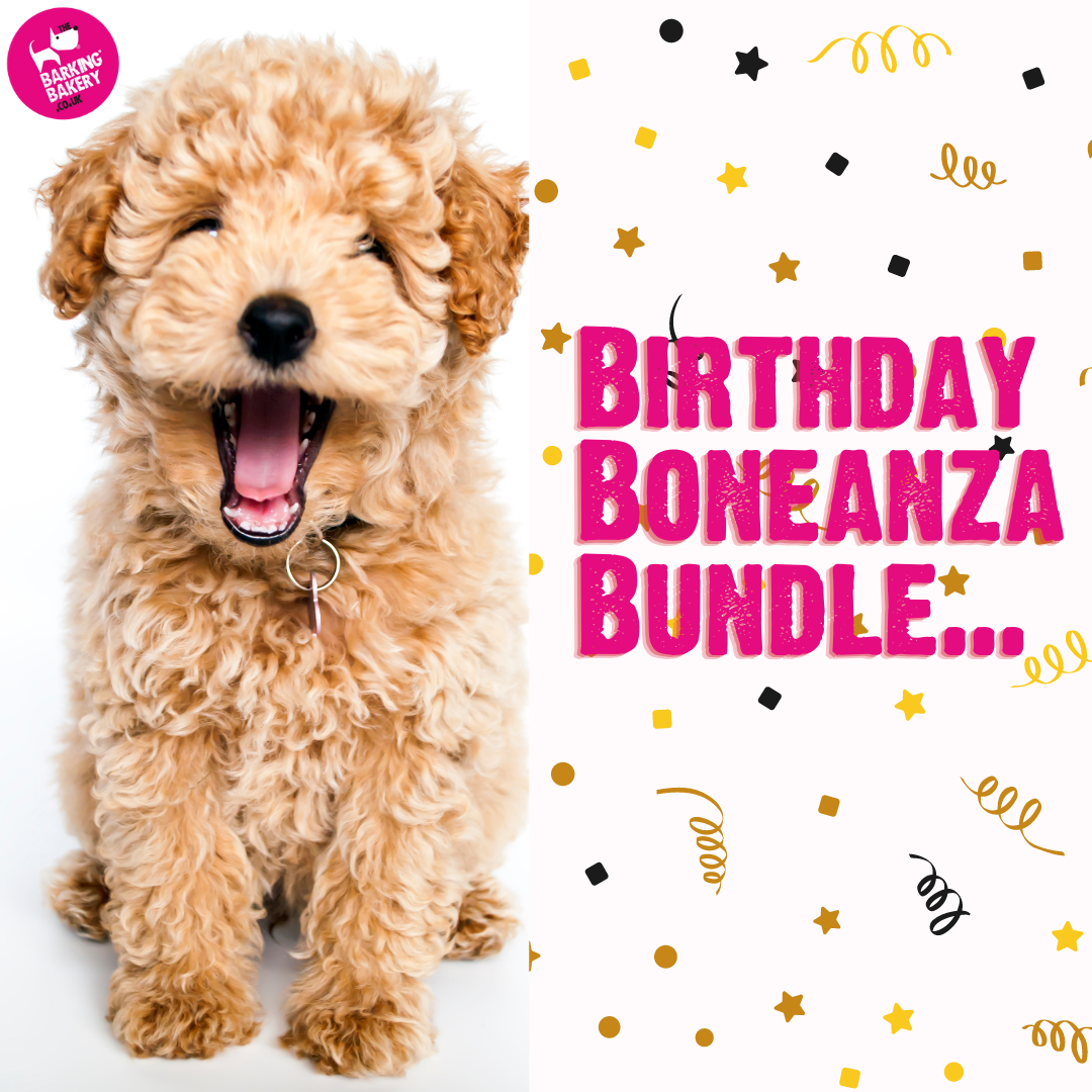 birthday party bundle