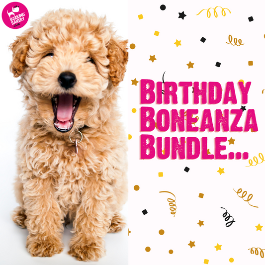 birthday party bundle